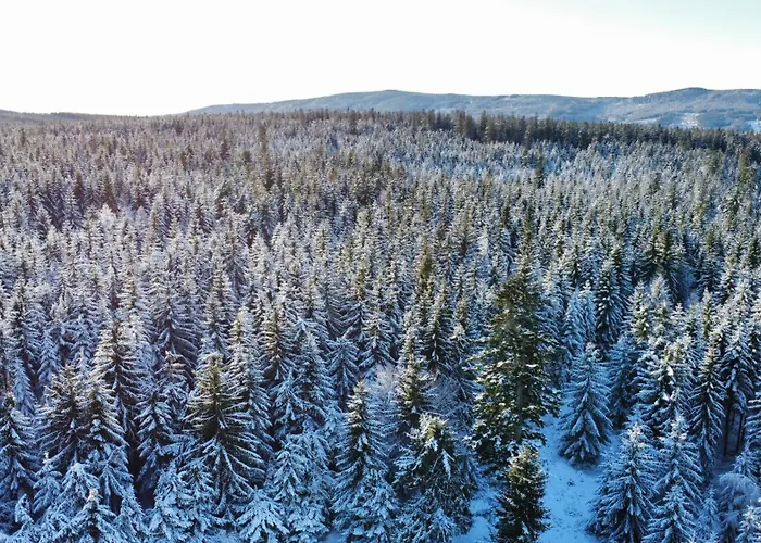 Klimatyczne Drewniane Jagodna-spalona 6d Jacuzzi Sauna Narty Biegowe,wyciag 150m *